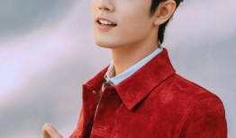 扒姐娱乐圈爆料肖战,娱乐圈风云再起，扒姐独家爆料揭秘